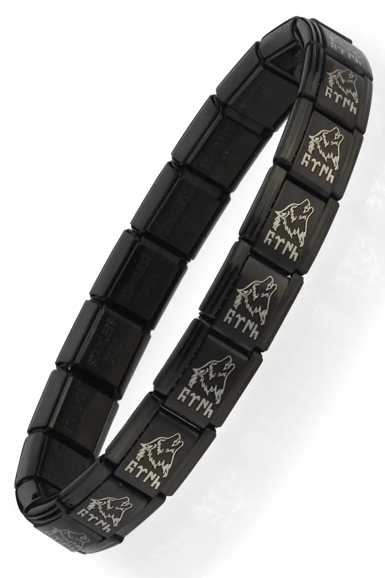 Kurt Kafası Göktürkçe Türk Yazılı İtalyan Charm Unisex Çelik Bileklik scb57 - Siyah